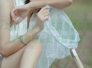 www.吃瓜登录即享，动漫游戏最新资讯实时更新