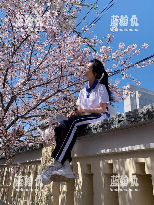 九一吃瓜中心网分享全新动漫游戏资源地址