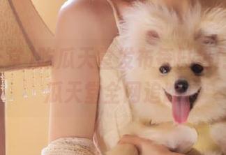 吃瓜天堂发布每日热门瓜，吃瓜天堂全网追踪