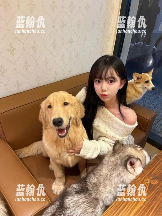 只需下载“明星黑料网站”，就能掌握娱乐圈的黑暗秘密！