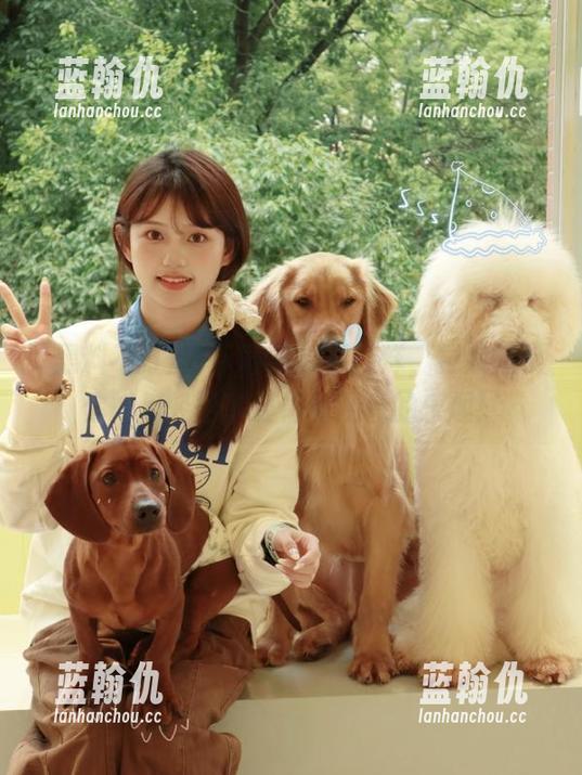 下载黑料不打烊，导航指引你如何轻松享受福利观看的乐趣！