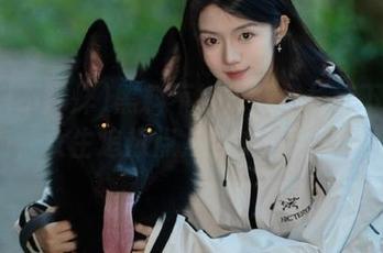 黑料不打烊万里长征下载指南，女生追热点八卦的最强助手！