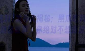 发布大揭秘：黑瓜吃料中的那些隐秘故事，你绝对不想错过！